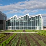 Javits Center Expansion Rooftop Farm
