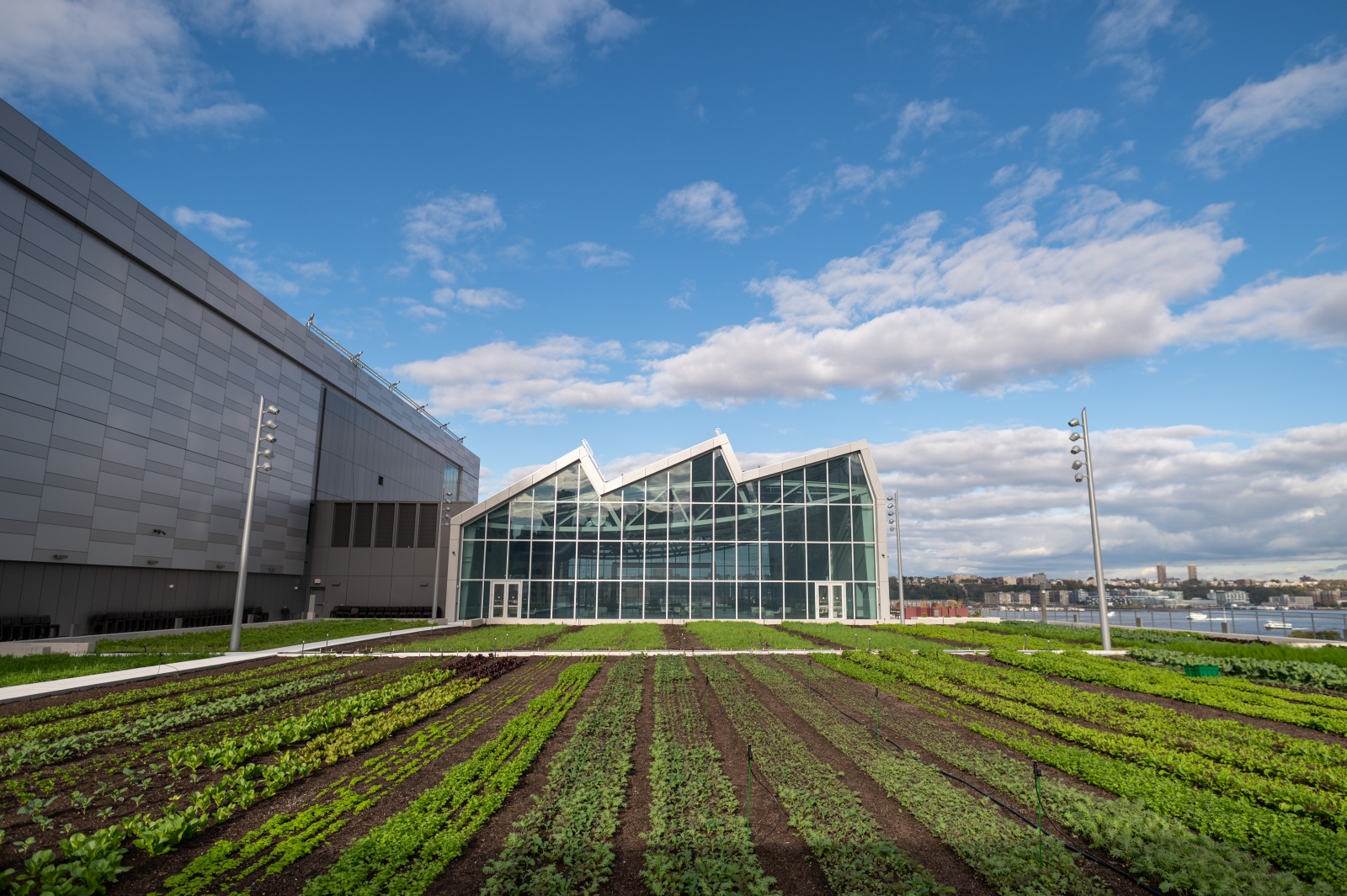 Javits Center Expansion Rooftop & Farm Featured Image