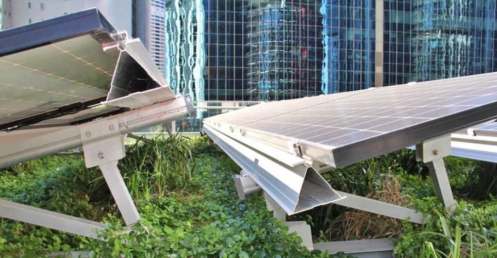 Study Finds Green Roofs Make Solar Panels More Efficient