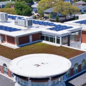 Could Green Roofs on Schools Be a Climate Solution?