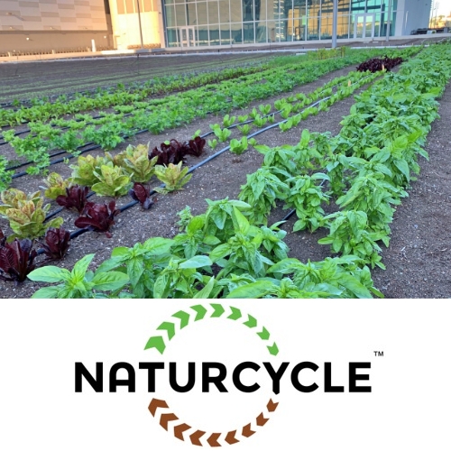 Naturcycle Releases Updated Specifications for their Standard Green Roof Media Products