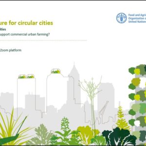 Urban agriculture for circular cities: Space and logistic opportunities