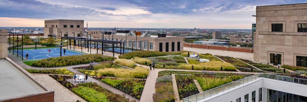 The Ecological Promise of Living Roofs and Walls