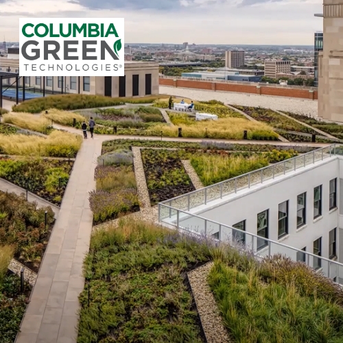 The Green Roofing Revolution Sweeping the World | Columbia Green Technologies