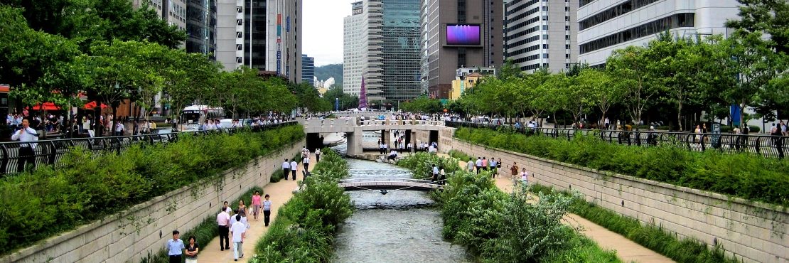 BiodiverCities: How Infrastructure Could Transform the Urban Relationship with Nature