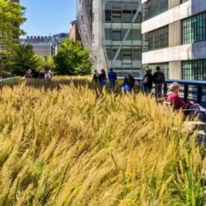 How Investing in Green Infrastructure Helps Cities Manage the Effects of the Climate Crisis and Creates Healthy Communities