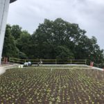 Fayetteville Public Library green roof