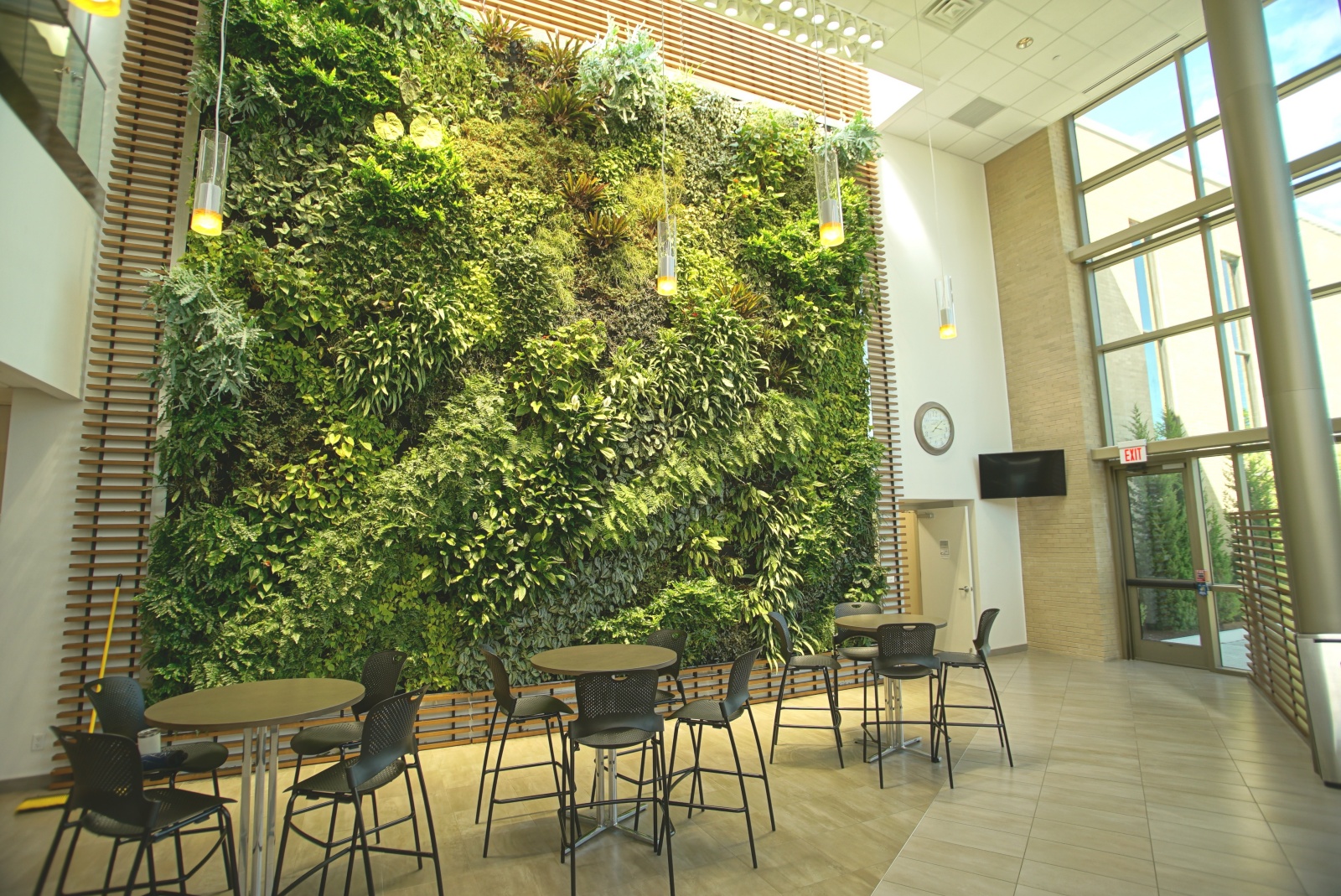 International Flavors & Fragrances Living Wall Featured Image