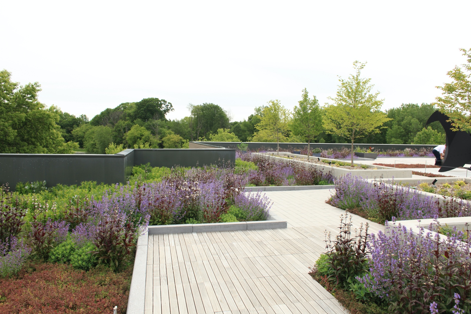 Why Do You Think #Greenroofs Are Important?