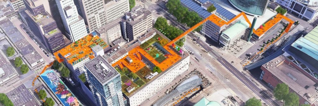 Inside Rotterdam’s Quest to Green 10 Million Square Feet of Rooftops