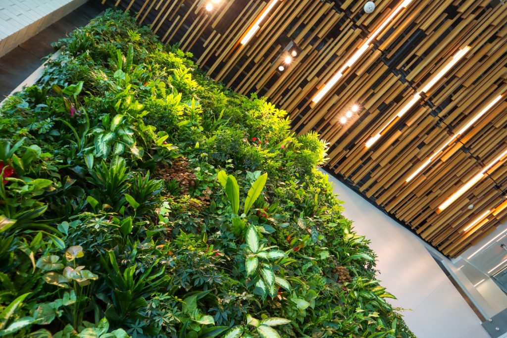5 Benefits of Incorporating a Green Wall in Your Home