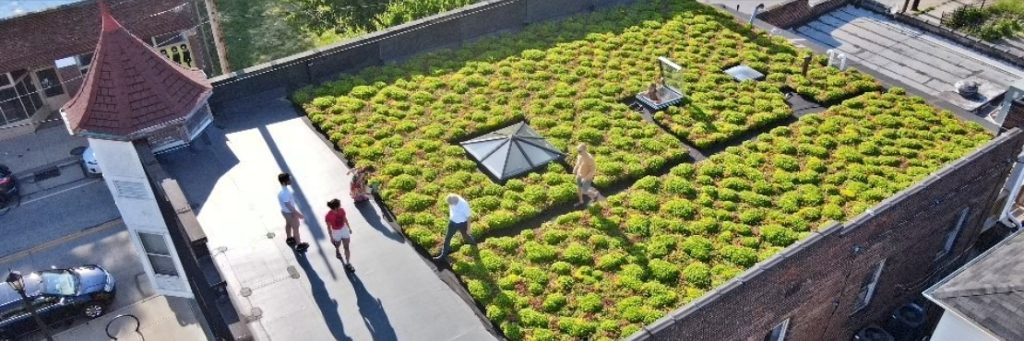 Waterloo Arts green roof