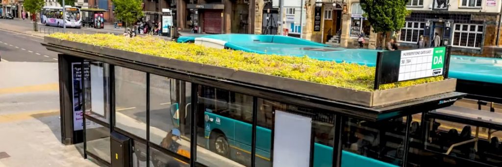 Bus Stops with Green Roofs Can Improve City Wildlife