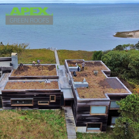 Lessons Learned: Consider Extreme Weather Events in Green Roof Design
