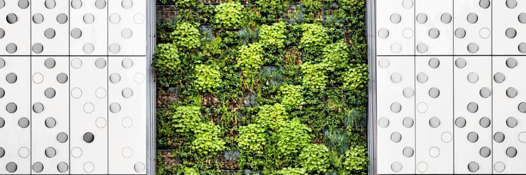 5 Benefits of Having a Living Wall at Home or Office