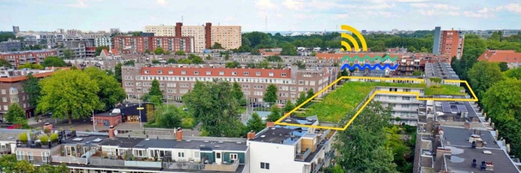 Amsterdam’s Blue Green Roofs Offer Solution to Urban Flooding and Heat Island Effect