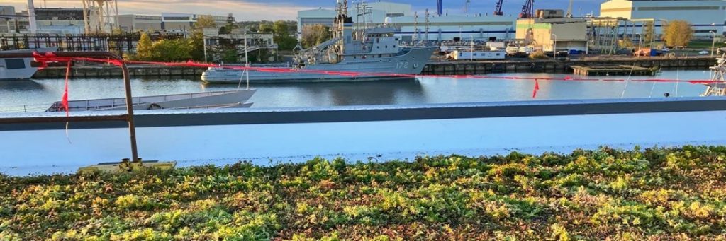 Philadelphia Navy Yard Redevelopment Includes Gigantic Green Roof!