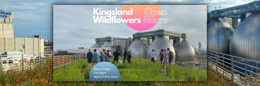 Meet Up on Fridays for Kingsland Wildflowers Open Hours at Broadway Stages