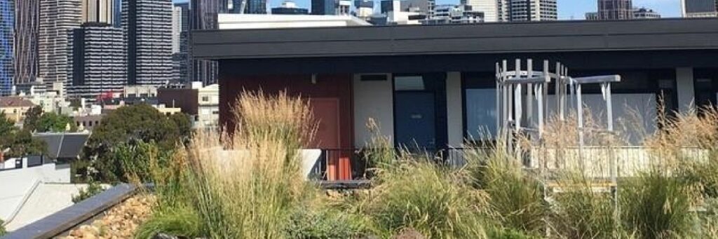 Guidelines for Biodiversity Green Roofs Released for Melbourne, Australia