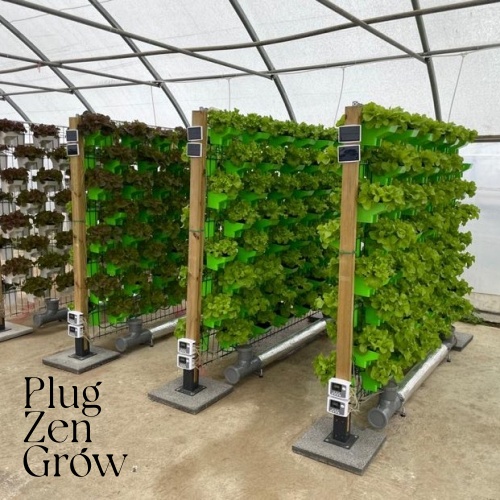 Increase Crop Production with Smart Vertical Agriculture Systems at PlugZenGrow