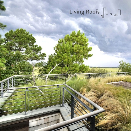 Living Roofs Launches New Website: Landscape on Structure Done Right!