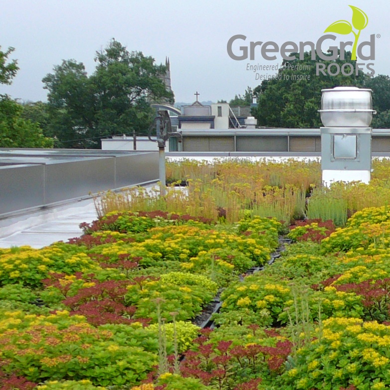 GreenGrid G5 Green Roof System: Enhancing Sustainability and Building Environments