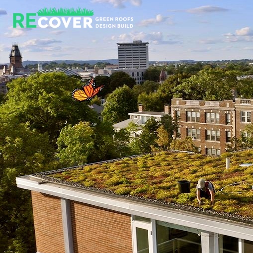 Watch Recover Green Roofs' Video by Turnaround Films & Trillium Studios