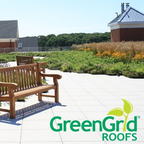 Extensive vs. Intensive Green Roofs: Selecting the Right Tray for Your Project