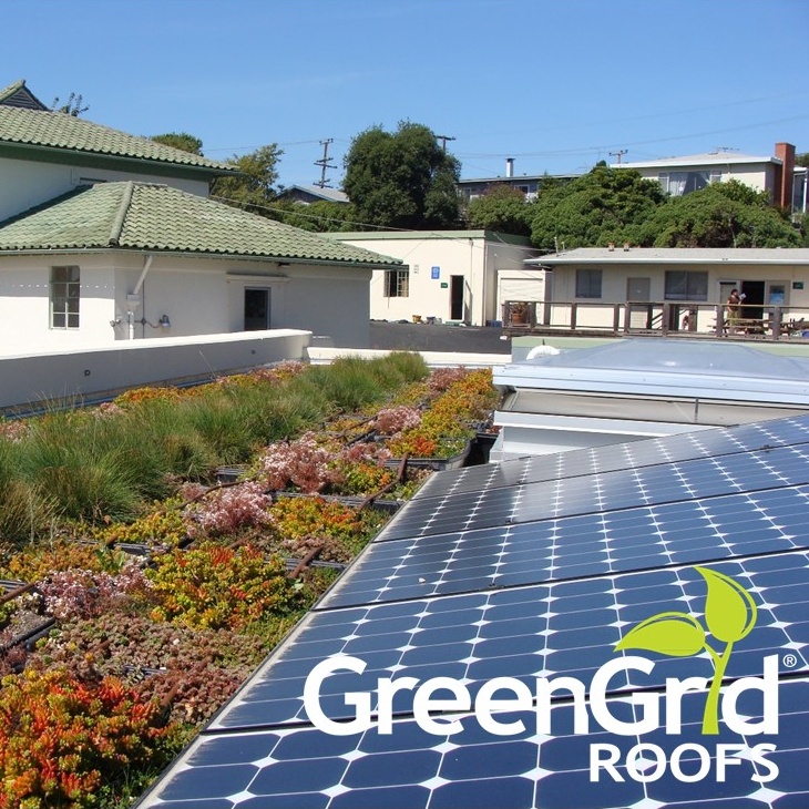 Key Considerations When Designing a Green Roof