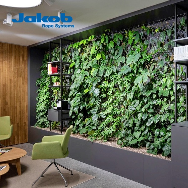Greening the Workspace: How Lucerne’s Innovative Indoor Garden Is Inspiring US Office Design