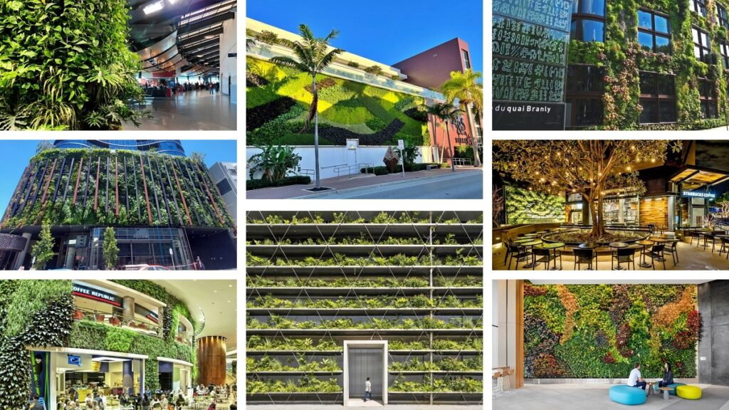 Our February 2024 Newsletter is Out! HEART = EARTH, New Website AmbaszMuseum.com, International Green Wall Day 2024, News, Events + more...
