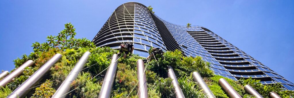 Our January 2024 Newsletter is Out! Greening in the New Year 2024 with Vertical Gardens as Habitat, News, Events + more...