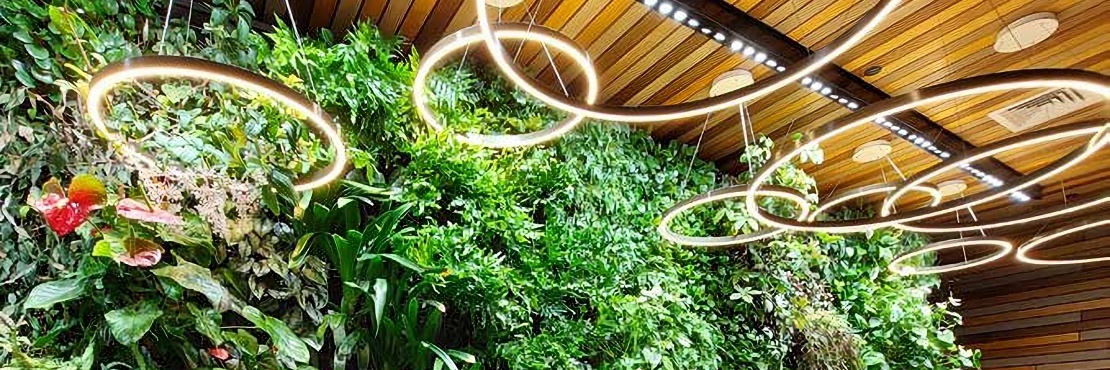 ‘Shining Light’ on Supplementary Lighting of Plants